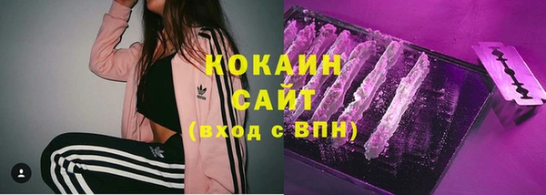 спайс Аркадак