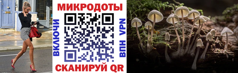 как найти закладки  hydra вход  Галлюциногенные грибы Psilocybine cubensis  Урень 